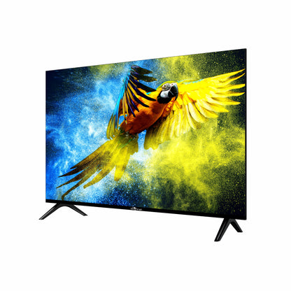 TV displaying a vibrant image of a parrot with a blue and yellow background