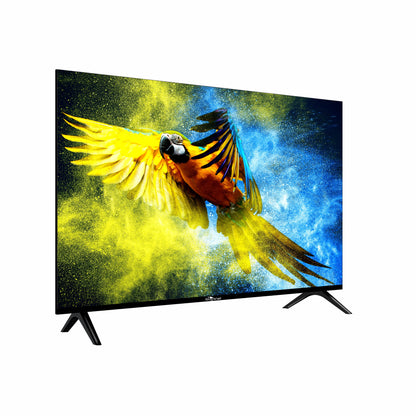 TV displaying a vibrant image of a parrot on a white background